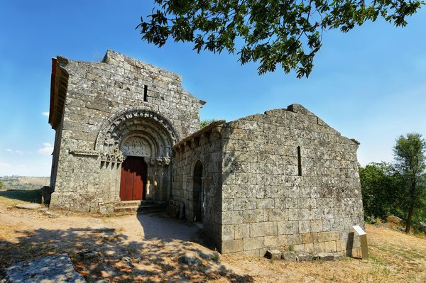Quali sono i segnali di ansia da separazione in un gatto di razza Maine Coon e come posso intervenire?