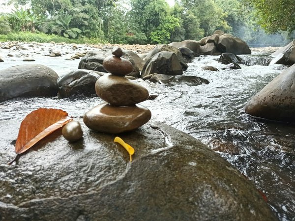 Quali sono le tecniche per realizzare un giardino zen in un'area urbana ristretta?