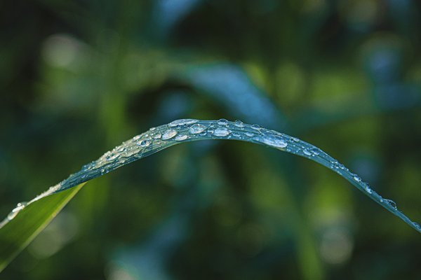 Quali sono i metodi per ridurre l'umidità in una cantina con soluzioni naturali?